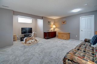 Photo 29: 512 Tanner Drive SE: Airdrie Detached for sale : MLS®# A2046270