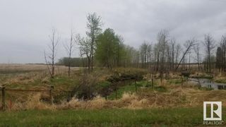 Photo 5: Township Road 512 & Range Road 194: Rural Beaver County Rural Land/Vacant Lot for sale : MLS®# E4295597
