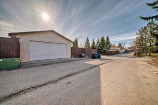 Photo 46: 2044 Pinetree Crescent NE in Calgary: Pineridge Detached for sale : MLS®# A2124958