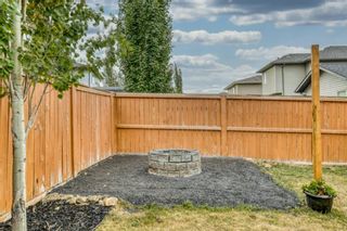 Photo 42: 347 Prairie Springs Crescent SW: Airdrie Detached for sale : MLS®# A1259307