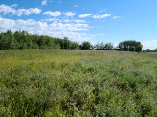 Photo 6: On Range Road 52: Rural Parkland County Commercial Land for sale : MLS®# A1252782