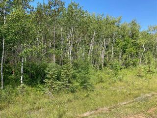 Photo 1: 0 MUN 38E Road in Tache Rm: Vacant Land for sale : MLS®# 202318812