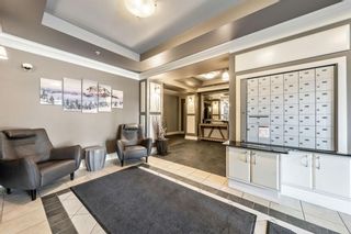 Photo 23: 306 25 Prestwick Drive SE in Calgary: McKenzie Towne Apartment for sale : MLS®# A1256915