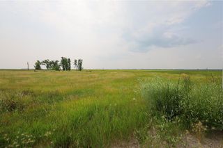 Photo 6: 2010 16 Road W in Rhineland: Vacant Land for sale : MLS®# 202320184