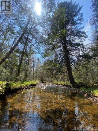 Photo 1: Lot 22-1 Crandall Road in Grand Bay-Westfield: Vacant Land for sale : MLS®# NB100514