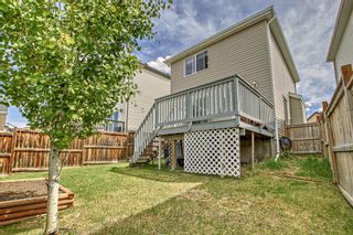 Photo 39: 240 Copperstone Gardens SE in Calgary: Copperfield Detached for sale : MLS®# A2050555