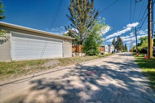 Photo 37: 4512 Namaka Crescent NW in Calgary: North Haven Detached for sale : MLS®# A2139222