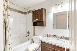 Photo 25: 1220 Berkley Drive NW in Calgary: Beddington Heights Detached for sale : MLS®# A2033634