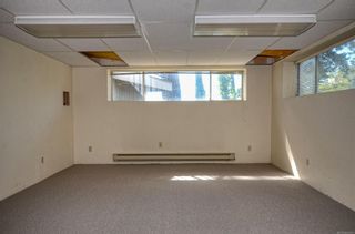 Photo 54: 445 Grafton St in Esquimalt: Es Saxe Point House for sale : MLS®# 962567