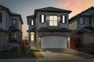 Photo 1: 51 Taracove Estate Drive NE in Calgary: Taradale Detached for sale : MLS®# A2126069
