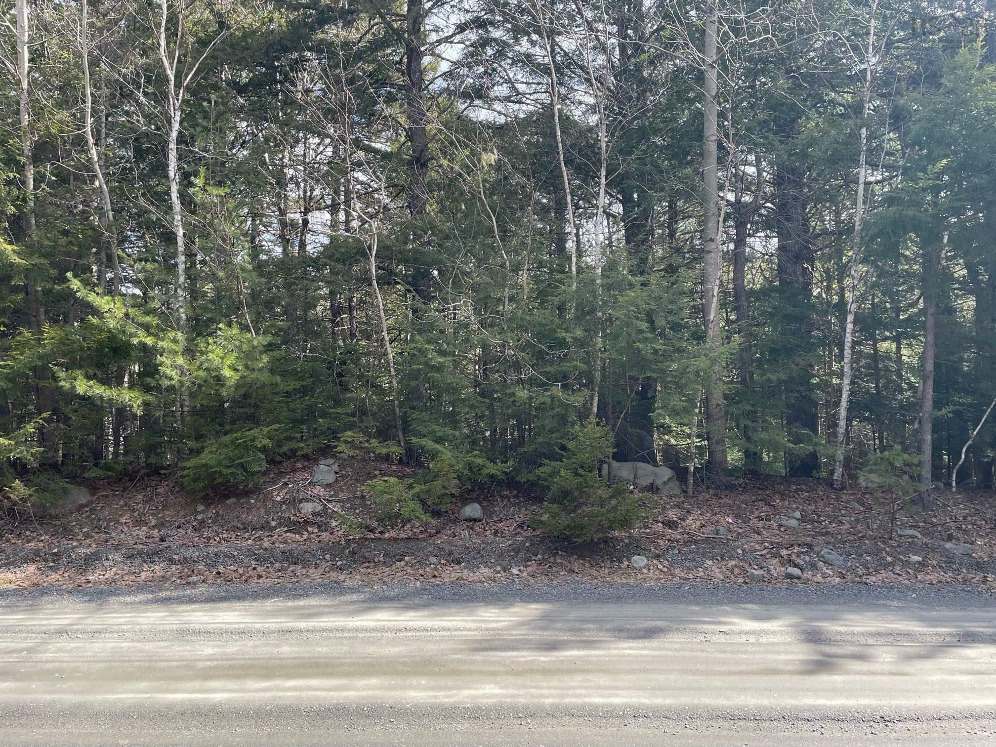 Main Photo: Lot 19 Tri Lake Drive in Labelle: 406-Queens County Vacant Land for sale (South Shore)  : MLS®# 202204773