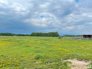 Photo 10: 605XX RGE RD 232: Rural Thorhild County Vacant Lot/Land for sale : MLS®# E4358512