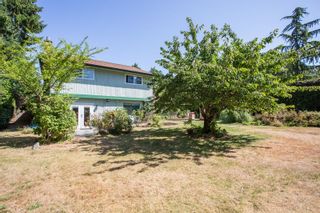 Photo 29: 12824 22 Avenue in Surrey: Elgin Chantrell House for sale in "Ocean Park Terrace" (South Surrey White Rock)  : MLS®# R2877018