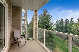 Photo 35: 305 290 Shawville Way SE in Calgary: Shawnessy Apartment for sale : MLS®# A2048768