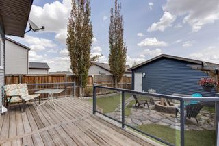 Photo 38: 79 Sage Hill Way NW in Calgary: Sage Hill Detached for sale : MLS®# A1220139