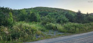 Photo 2: Stewart Mountain Road in Blomidon: Kings County Vacant Land for sale (Annapolis Valley)  : MLS®# 202319903