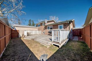 Photo 37: 195 Pinecliff Way NE in Calgary: Pineridge Detached for sale : MLS®# A2124953