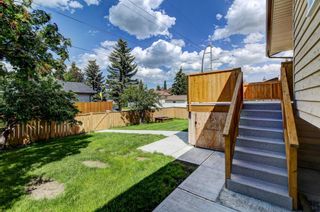 Photo 27: 147 Edforth Crescent NW in Calgary: Edgemont Detached for sale : MLS®# A1239885