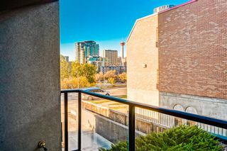 Photo 32: 204 414 Meredith Road NE in Calgary: Crescent Heights Apartment for sale : MLS®# A2005517