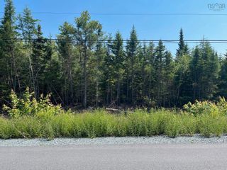 Photo 4: Lot 9 Waterloo Road in Waterloo: 405-Lunenburg County Vacant Land for sale (South Shore)  : MLS®# 202314784