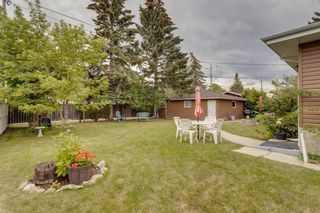 Photo 24: 7339 37 Avenue NW in Calgary: Bowness Detached for sale : MLS®# A2002544