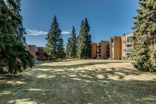 Photo 26: 4409 33 Avenue SW in Calgary: Glenbrook Row/Townhouse for sale : MLS®# A1252690
