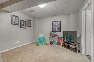 Photo 23: 99 Walden Terrace SE in Calgary: Walden Semi Detached (Half Duplex) for sale : MLS®# A2019284