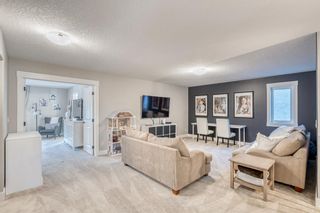 Photo 20: 127 Masters Way SE in Calgary: Mahogany Detached for sale : MLS®# A2018304