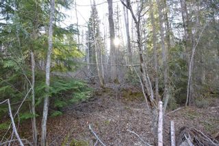 Photo 4: LOT A KLOECKNER Road in Smithers: Smithers - Rural Land for sale (Smithers And Area (Zone 54))  : MLS®# R2598861
