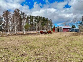 Photo 6: 3342 Highway 1 in Aylesford East: Kings County Residential for sale (Annapolis Valley)  : MLS®# 202207842