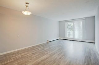 Photo 6: 406C 5601 Dalton Drive NW in Calgary: Dalhousie Apartment for sale : MLS®# A1146275