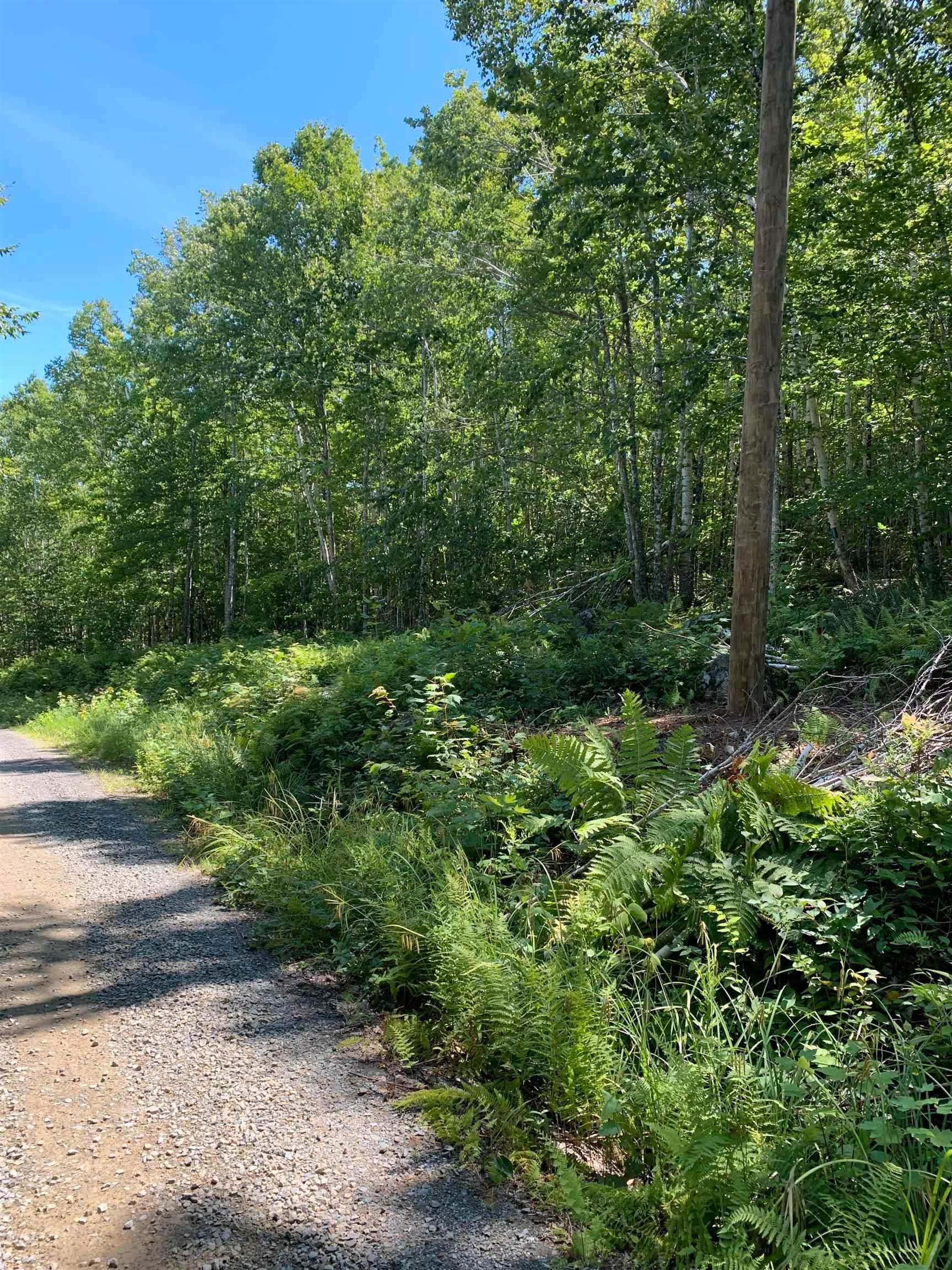 Main Photo: 17 Russells Cove Road in Parkdale: 405-Lunenburg County Vacant Land for sale (South Shore)  : MLS®# 202317698