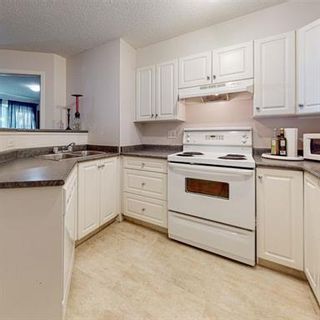 Photo 8: 4113 4975 130 Avenue SE in Calgary: McKenzie Towne Apartment for sale : MLS®# A2006036