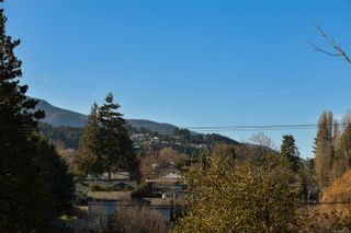 Photo 45: 331 Pine St in Nanaimo: Na Old City House for sale : MLS®# 962221