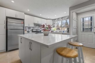 Photo 3: 456 Cedarille Crescent SW in Calgary: Cedarbrae Detached for sale : MLS®# A2129874