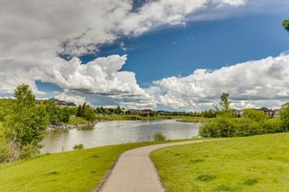 Photo 49: 202 Inverness Park SE in Calgary: McKenzie Towne Detached for sale : MLS®# A1234082