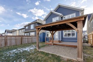 Photo 41: 40 Masters Terrace SE in Calgary: Mahogany Detached for sale : MLS®# A2092530