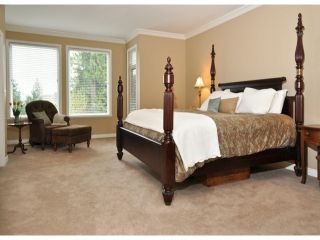 Photo 7: 11054 164A Street in Surrey: Fraser Heights House for sale in "HAMPTON WOODS" (North Surrey)  : MLS®# F1306452