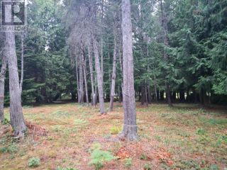 Photo 6: MANSON AVE in Powell River: Vacant Land for sale : MLS®# 17981