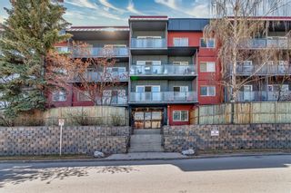 Photo 2: 205 335 Garry Crescent NE in Calgary: Greenview Apartment for sale : MLS®# A2044716