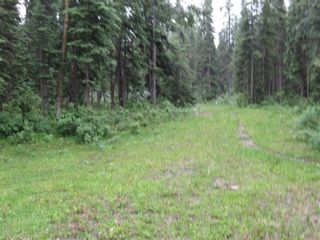 Photo 42: 70041 Highway 591: Rural Clearwater County Detached for sale : MLS®# C4305359