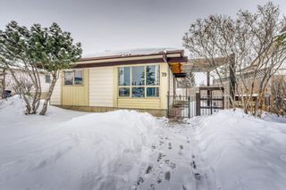 Photo 29: 79 Abalone Way NE in Calgary: Abbeydale Detached for sale : MLS®# A2032204