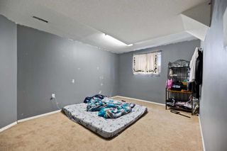 Photo 32: 28 Coral Springs Close NE in Calgary: Coral Springs Detached for sale : MLS®# A2120341