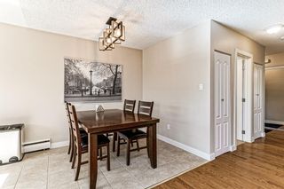 Photo 15: 209 8231 Elbow Drive SW in Calgary: Chinook Park Apartment for sale : MLS®# A1241173