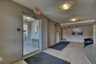 Photo 6: 107 380 Marina Drive: Chestermere Apartment for sale : MLS®# A1028134