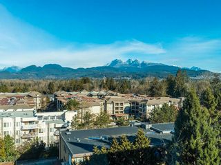 Photo 38: 707 12148 224 Street in Maple Ridge: East Central Condo for sale in "Panorama" : MLS®# R2827076