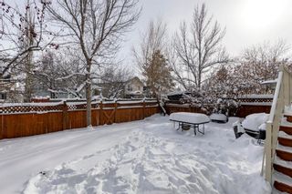 Photo 46: 24 Chaparral Common SE in Calgary: Chaparral Detached for sale : MLS®# A2027515