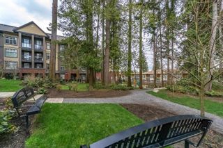 Photo 24: 411 2855 156 Street in Surrey: Grandview Surrey Condo for sale in "THE HEIGHTS" (South Surrey White Rock)  : MLS®# R2756825