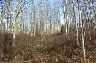 Photo 22: 9410 ADAMS Road in Smithers: Smithers - Rural Land for sale in "Driftwood" (Smithers And Area (Zone 54))  : MLS®# R2670519