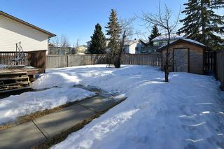Photo 24: 139 CASTLEGLEN Road NE in Calgary: Castleridge House for sale : MLS®# C4170209